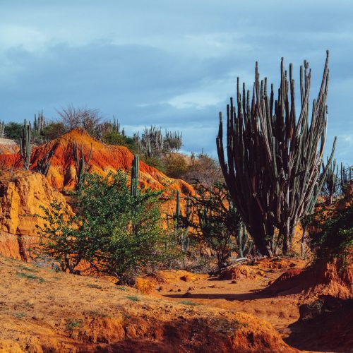 beautiful-scenery-tatacoa-desert-colombia-with-exotic-wild-plants-red-rocks
